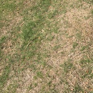 Meet your Posher, George